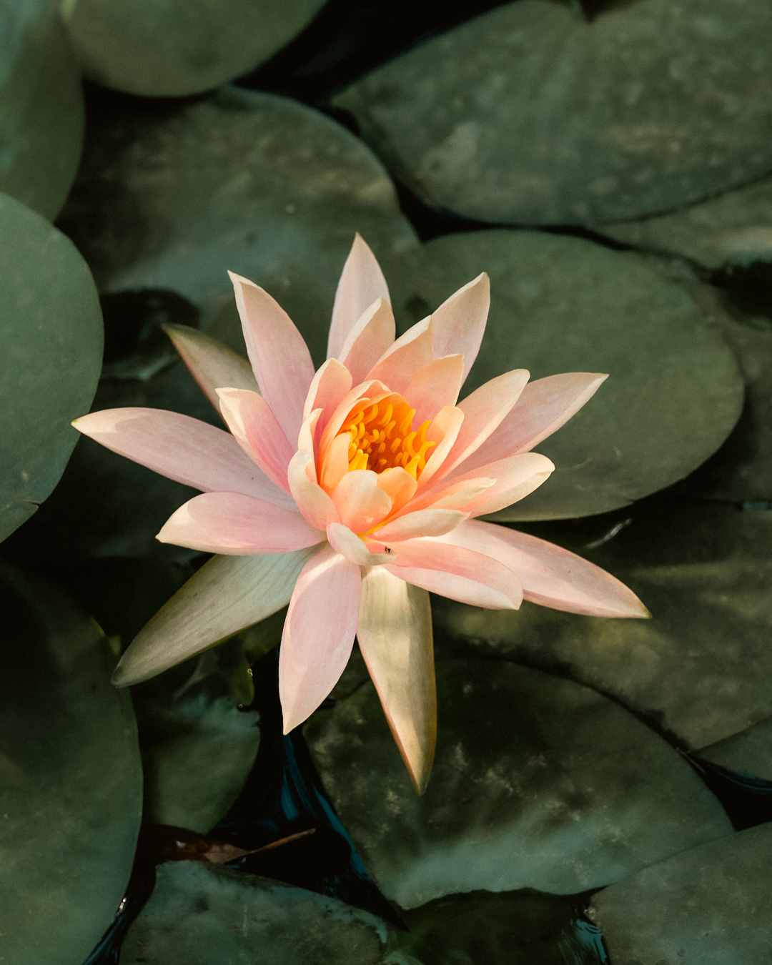 mould studio workspace